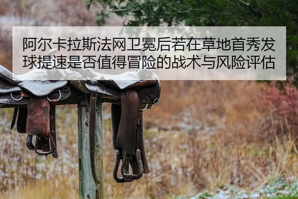 a-er-ka-la-si-fa-wang-wei-mian-hou-ruo-zai-cao-di-shou-xiu-fa-qiu-ti-su-shi-fou-zhi-de-mao-xian-de-zhan-shu-yu-feng-2-243.jpg
