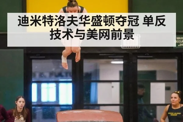 迪米特洛夫华盛顿夺冠 单反技术与美网前景